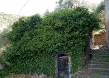 DSCN8079.JPG - Casale Via Costigliolo, Cogorno - foto 16