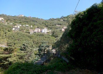 DSCN8080.JPG - Casale Via Costigliolo, Cogorno - foto 17