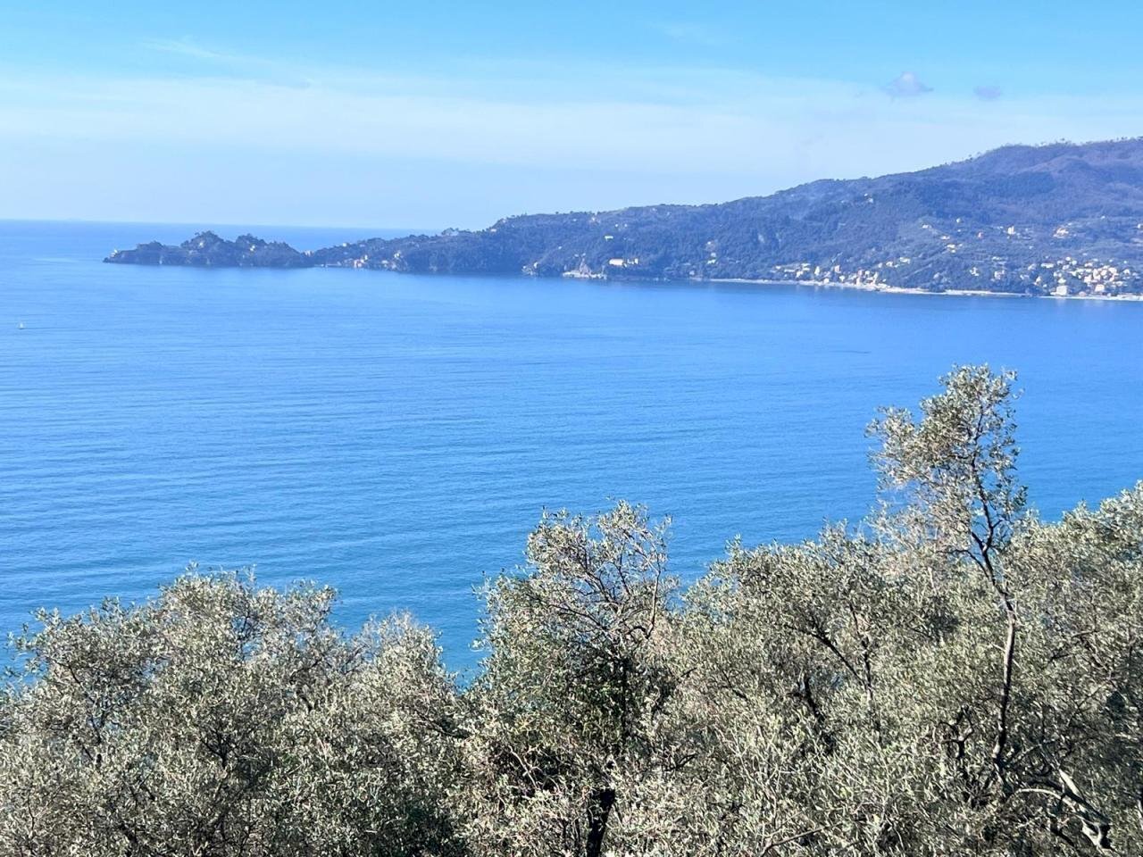 WhatsApp Image 2025-03-20 at 06.48.03.jpeg - Villa Zoagli - photo 1