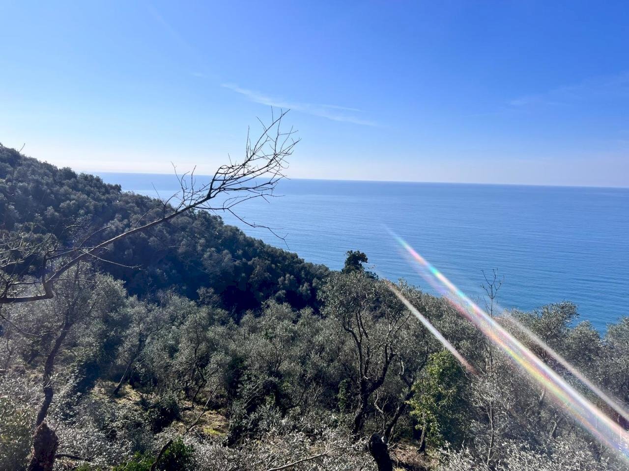 WhatsApp Image 2025-03-20 at 06.48.03(1).jpeg - Villa Zoagli - photo 3