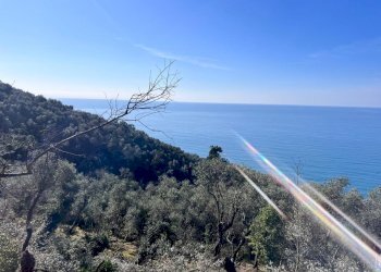 WhatsApp Image 2025-03-20 at 06.48.03(1).jpeg - Villa Zoagli - foto 3