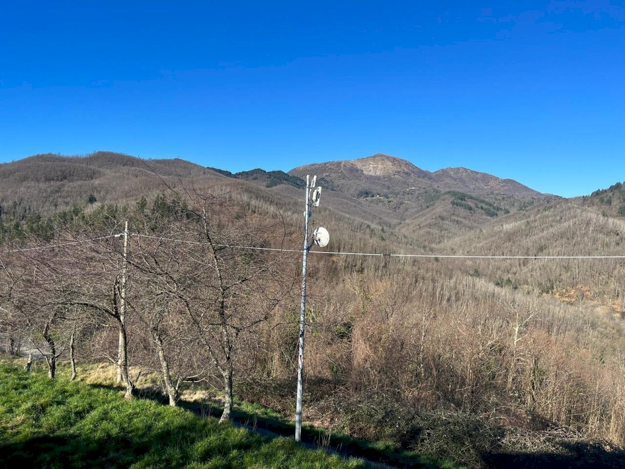 WhatsApp Image 2025-02-05 at 16.37.50 (1).jpeg - Trilocale Maissana - foto 2