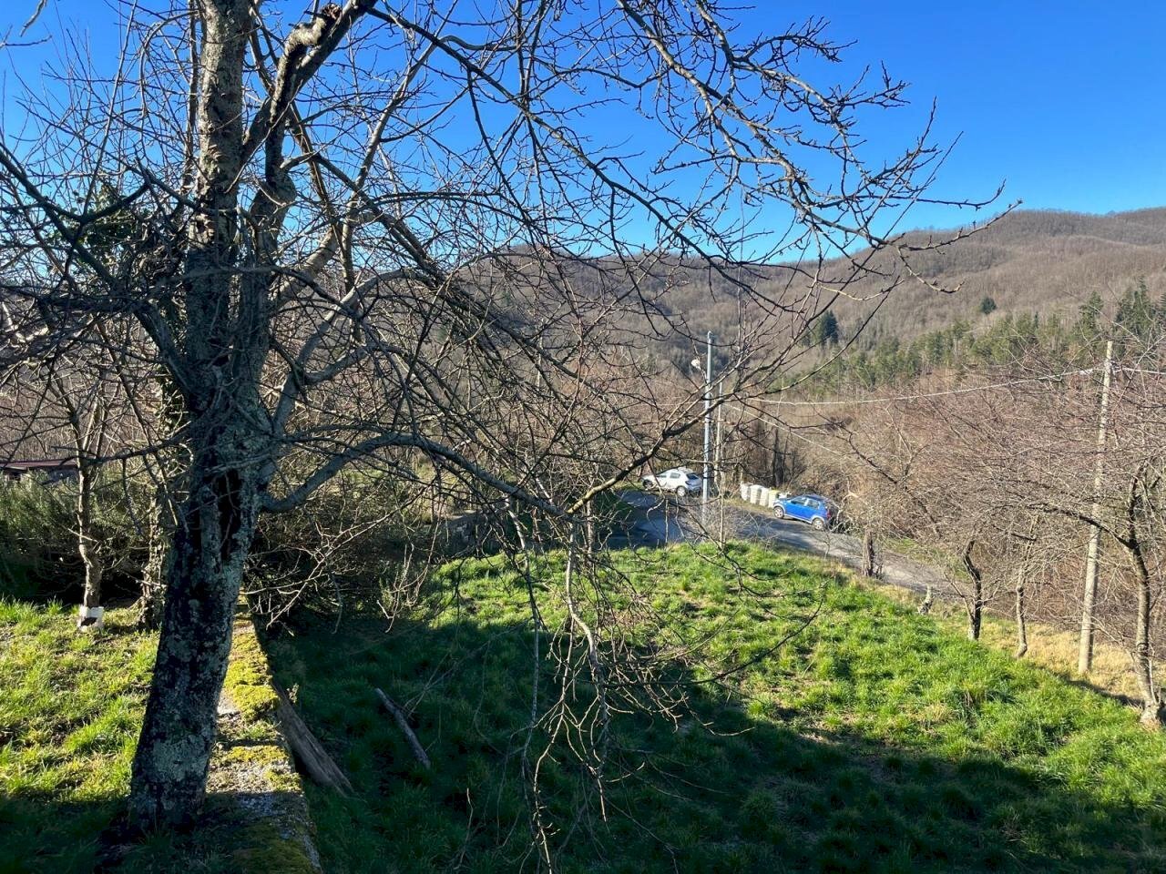 WhatsApp Image 2025-02-05 at 16.37.50 (2).jpeg - Trilocale Maissana - foto 3