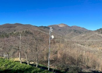 WhatsApp Image 2025-02-05 at 16.37.50 (1).jpeg - Trilocale Maissana - foto 2