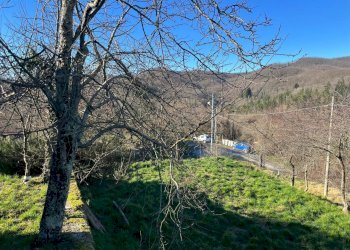 WhatsApp Image 2025-02-05 at 16.37.50 (2).jpeg - Trilocale Maissana - foto 3