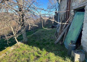 WhatsApp Image 2025-02-05 at 16.37.51 (4).jpeg - Trilocale Maissana - foto 6