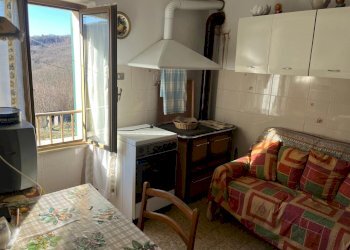 WhatsApp Image 2025-02-05 at 16.37.52 (5).jpeg - Trilocale Maissana - foto 12