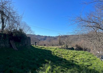 WhatsApp Image 2025-02-05 at 16.37.54.jpeg - Trilocale Maissana - foto 24