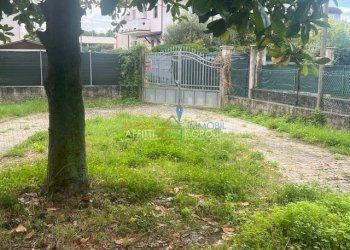 IMG_2660.jpg - Villa Via del Casone 24, Massa - foto 8