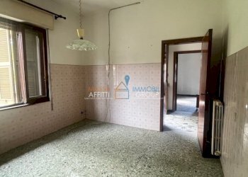 IMG_2666.jpg - Villa Via del Casone 24, Massa - foto 15