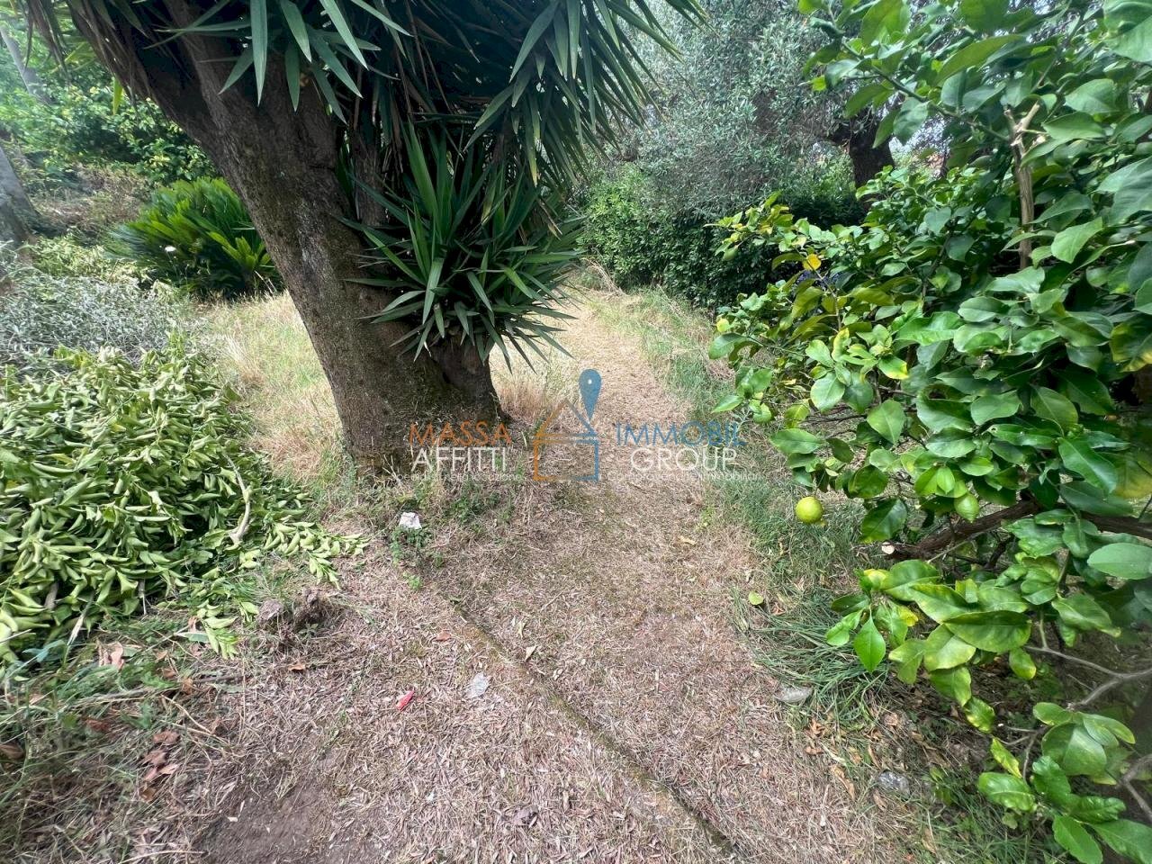 WhatsApp Image 2025-07-22 at 12.41.51 (3).jpeg - Terreno agricolo Via San Giuseppe Vecchio 37, Massa - foto 3