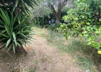 WhatsApp Image 2025-07-22 at 12.41.51 (5).jpeg - Agricultural land Via San Giuseppe Vecchio 37, Massa - photo 2