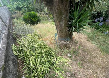 WhatsApp Image 2025-07-22 at 12.41.51 (4).jpeg - Agricultural land Via San Giuseppe Vecchio 37, Massa - photo 4