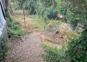 WhatsApp Image 2025-07-22 at 12.41.50.jpeg - Agricultural land Via San Giuseppe Vecchio 37, Massa - photo 5