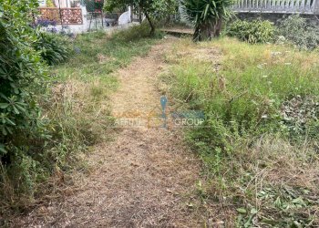 WhatsApp Image 2025-07-22 at 12.41.51 (1).jpeg - Agricultural land Via San Giuseppe Vecchio 37, Massa - photo 6