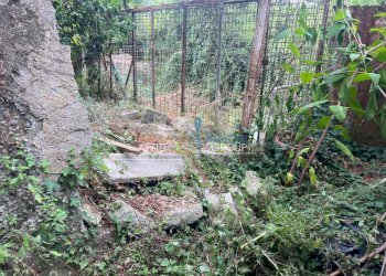 WhatsApp Image 2025-07-22 at 12.41.50 (1).jpeg - Agricultural land Via San Giuseppe Vecchio 37, Massa - photo 7