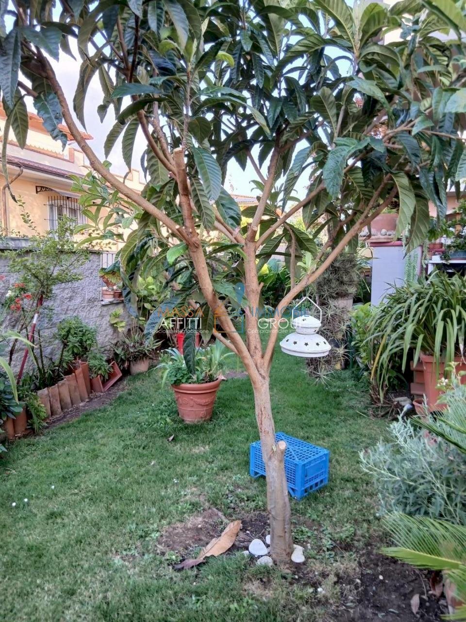 3.jpg - Terraced Villa Via Venezia 42, Massa - photo 1