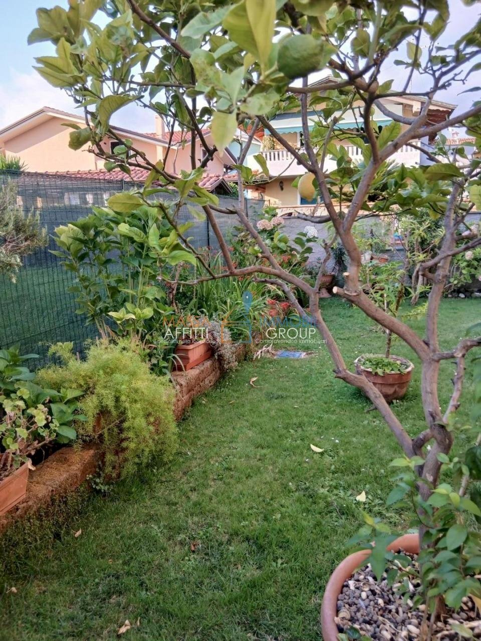 2.jpg - Terraced Villa Via Venezia 42, Massa - photo 2