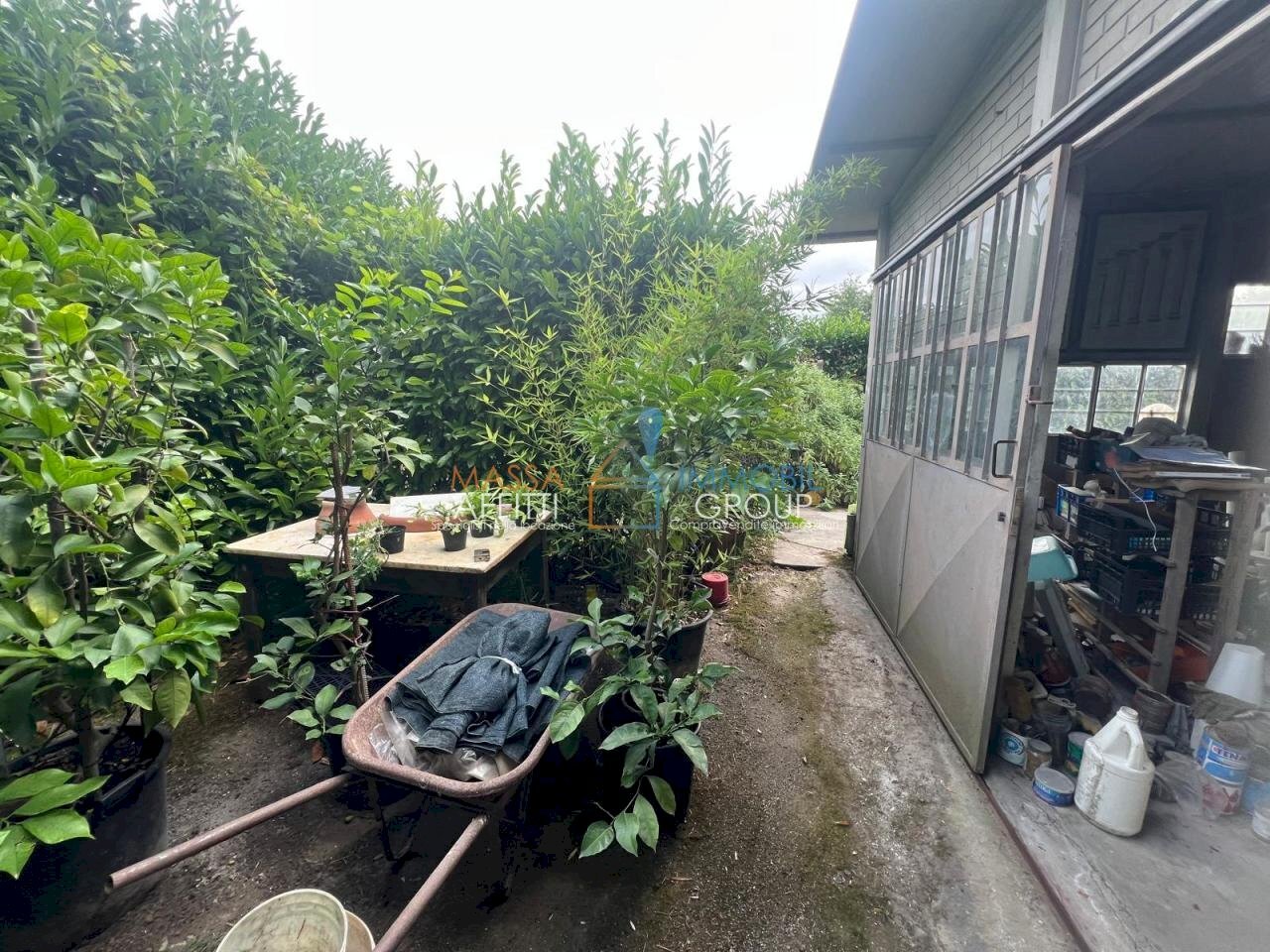 WhatsApp Image 2025-07-08 at 15.39.05 (1).jpeg - Locale Commerciale Via Torretta 37, Pietrasanta - foto 2