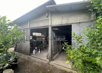 WhatsApp Image 2025-07-08 at 15.31.23 (2).jpeg - Locale Commerciale Via Torretta 37, Pietrasanta - foto 1