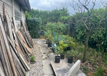 WhatsApp Image 2025-07-08 at 15.31.23 (1).jpeg - Locale Commerciale Via Torretta 37, Pietrasanta - foto 6