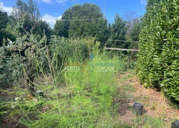 WhatsApp Image 2025-07-08 at 15.31.22.jpeg - Locale Commerciale Via Torretta 37, Pietrasanta - foto 7