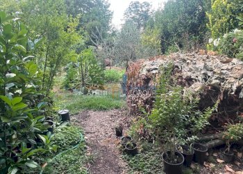 WhatsApp Image 2025-07-08 at 15.39.05 (3).jpeg - Locale Commerciale Via Torretta 37, Pietrasanta - foto 9