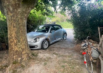 WhatsApp Image 2025-07-08 at 15.39.05.jpeg - Locale Commerciale Via Torretta 37, Pietrasanta - foto 10