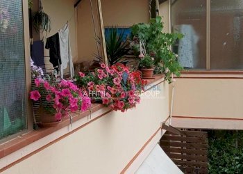 1.jpg - Quadrilocale Via San Remigio di Sopra 6, Massa - foto 2