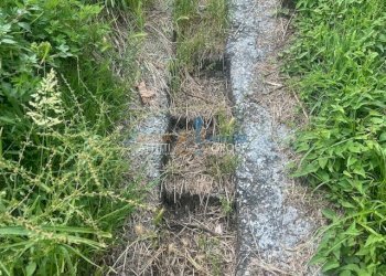 IMG_1584.jpg - Agricultural land Via del Pozzo 2, Massa - photo 4