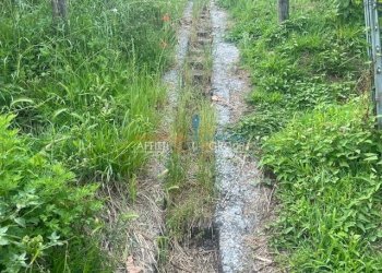 IMG_1585.jpg - Agricultural land Via del Pozzo 2, Massa - photo 5