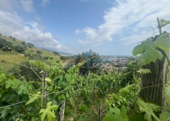 IMG_1587.jpg - Agricultural land Via del Pozzo 2, Massa - photo 7