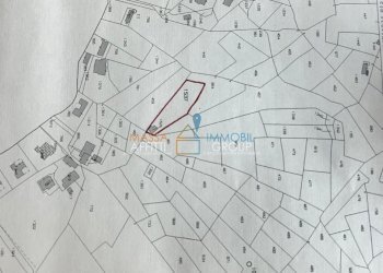 estratto di mappa con particella evidenziata.jpeg - Agricultural land Via del Pozzo 2, Massa - photo 13
