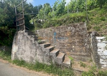 IMG_1555.jpg - Agricultural land Viottolo Pianamaggio 1, Massa - photo 2