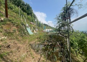 IMG_1562.jpg - Agricultural land Viottolo Pianamaggio 1, Massa - photo 9