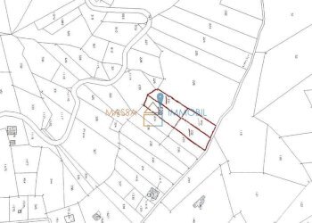 Particelle Identificate.jpeg - Agricultural land Viottolo Pianamaggio 1, Massa - photo 23