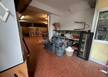 IMG_1397.jpg - Laboratorio Via del Papino 15, Massa - foto 5