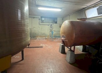 IMG_1400.jpg - Laboratorio Via del Papino 15, Massa - foto 8