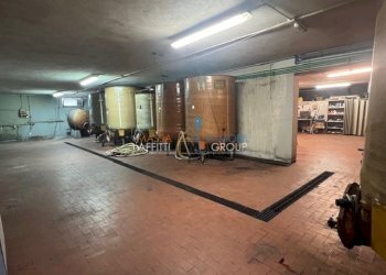 IMG_1402.jpg - Laboratorio Via del Papino 15, Massa - foto 10