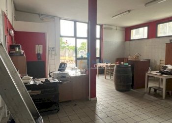 IMG_1383.jpg - Locale Commerciale Via del Papino 15, Massa - foto 7