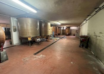 IMG_1401.jpg - Locale Commerciale Via del Papino 15, Massa - foto 25