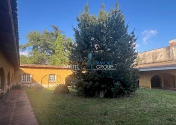 IMG_0649.jpg - Villa a Schiera Via Pietro Pellegrini 17, Massa - foto 3