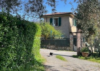 IMG_0438.jpg - Terratetto - Terracielo Via dell'Acqua 151, Massa - foto 5