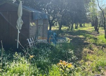 IMG_0437.jpg - Terratetto - Terracielo Via dell'Acqua 151, Massa - foto 24