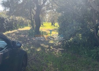 IMG_0439.jpg - Terratetto - Terracielo Via dell'Acqua 151, Massa - foto 25