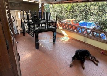 IMG_0524.jpg - Villa Via Tinelli 33, Massa - foto 6