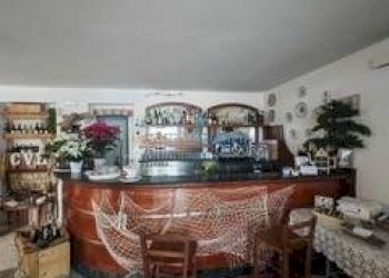 7.jpg - Albergo - Struttura ricettiva Via Paolo Ferrari 37, Massa - foto 5