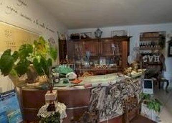 6.jpg - Albergo - Struttura ricettiva Via Paolo Ferrari 37, Massa - foto 6