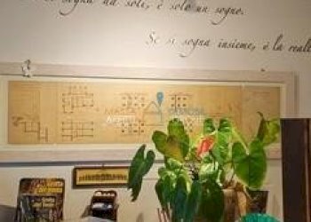 19.jpg - Villa Via Paolo Ferrari 37, Massa - foto 15