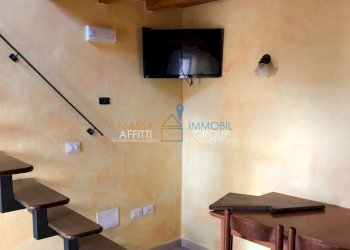 2018-04-12-PHOTO-00000044.jpg - Trilocale Località Casette 95, Massa - foto 2